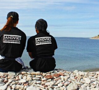 havet-sandvikred