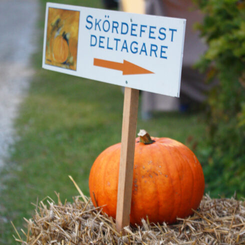 skordefestdeltagare