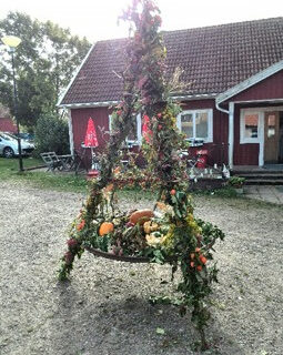 bild2
