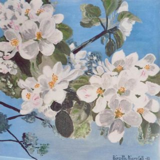 birgitta_bjurefalk_3