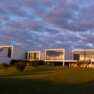Vida_panorama1-980x482