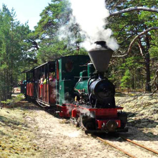 boda-skogsjarnvag