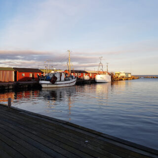 Blasingehamn