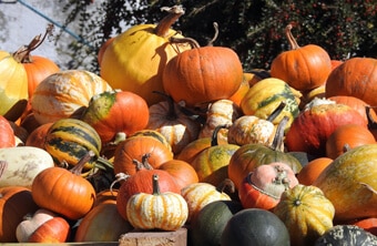 Pumpor5